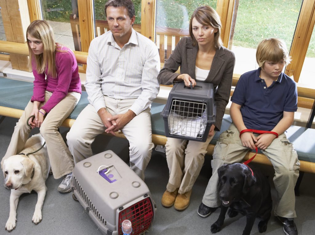 VeterinarianWaitingRoom