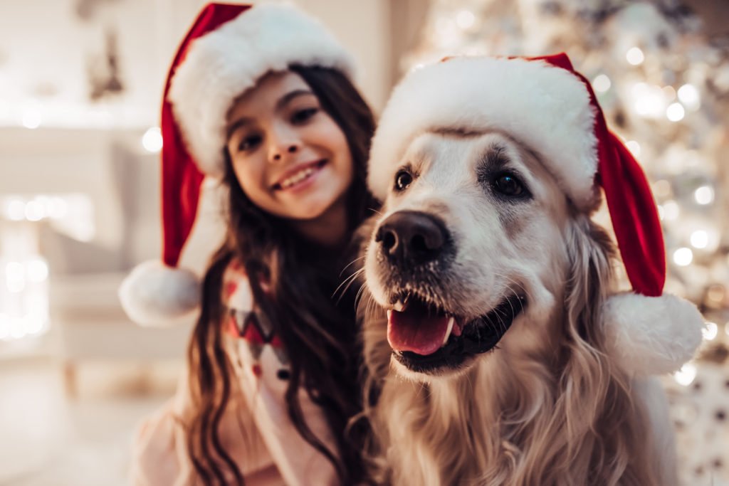 Gift List for Dogs